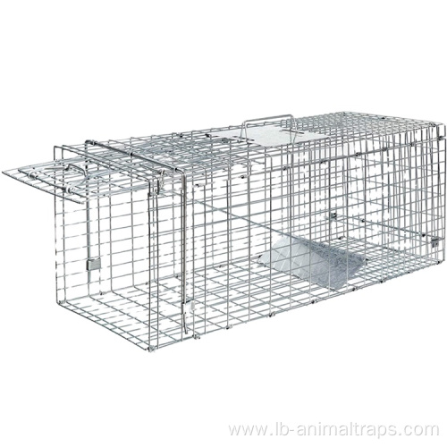 Steel Humane Release Rodent Cage for cat